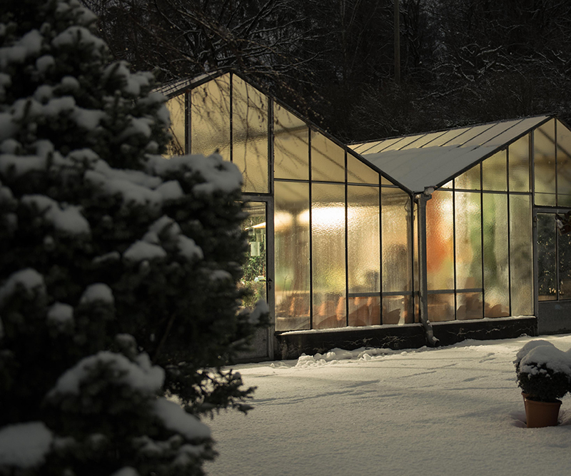 Adventssamstage 9 800x667